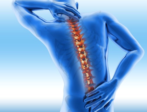 What Are the Best Exercises for Spine Health? Top Examples